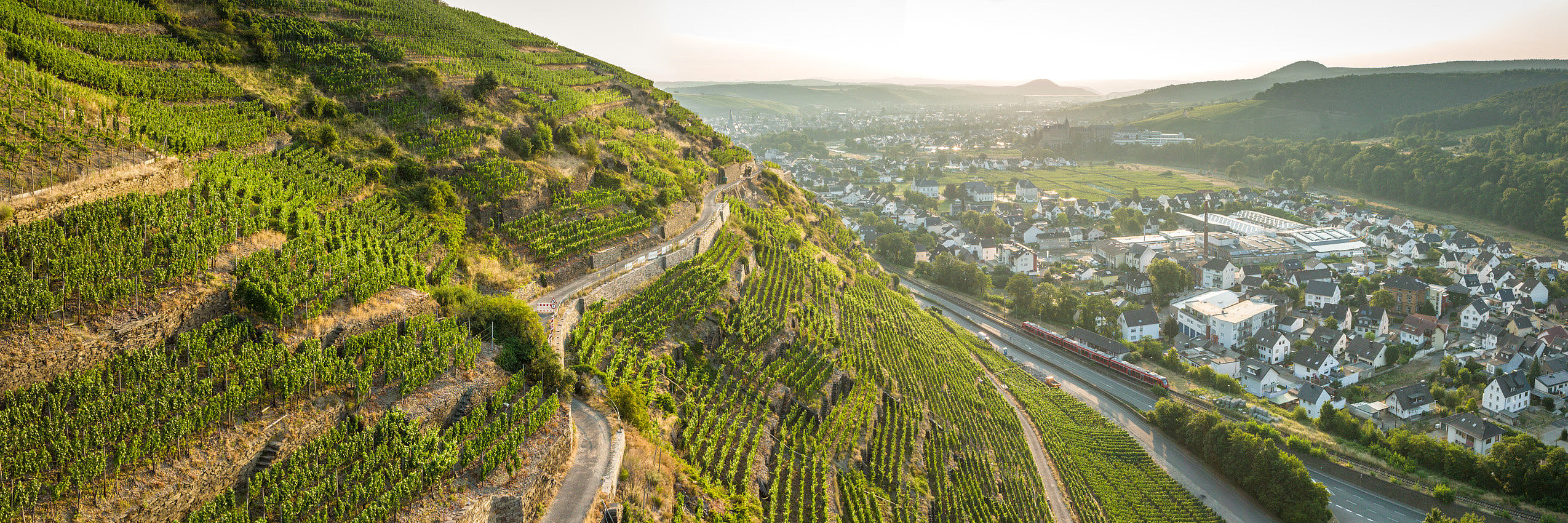Weinberge Walporzheim