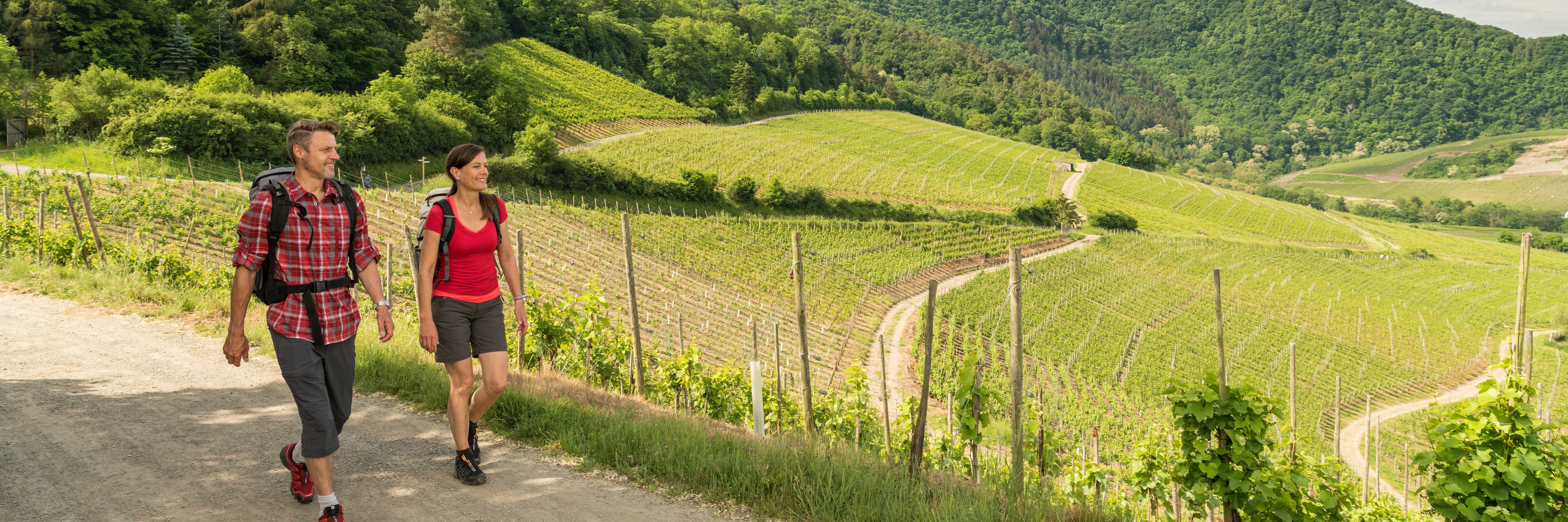 Wanderer im Ahrtal bei Mayschoß