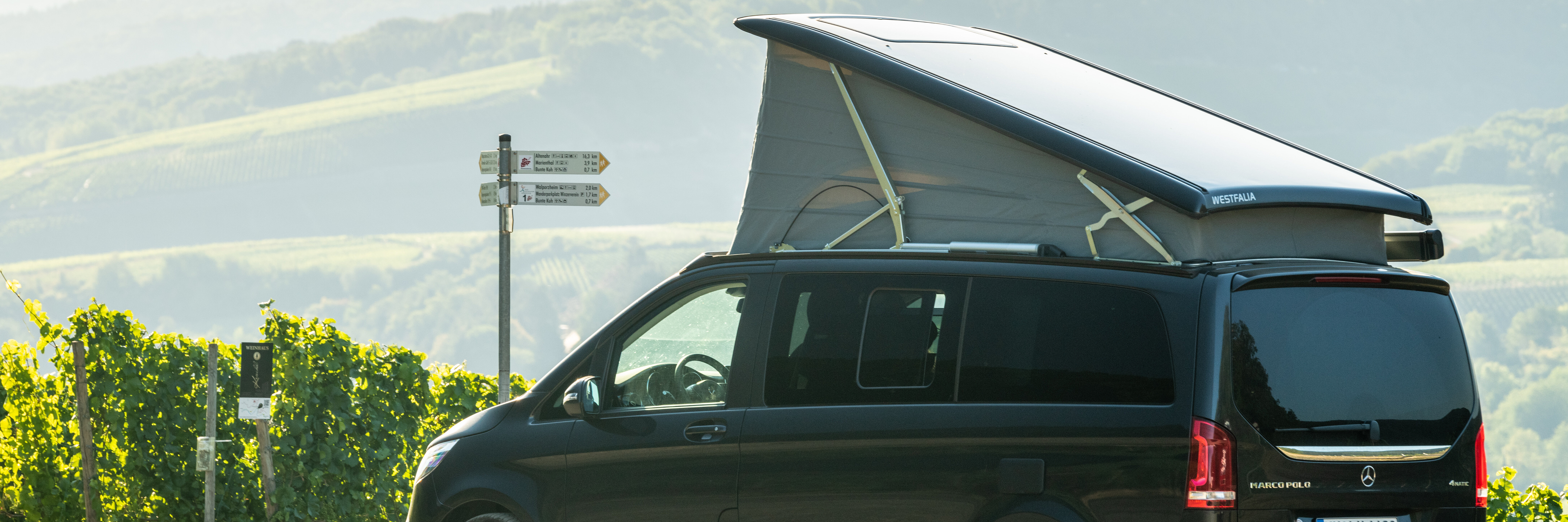 Campingbus parkt in den Weinbergen des Ahrtals