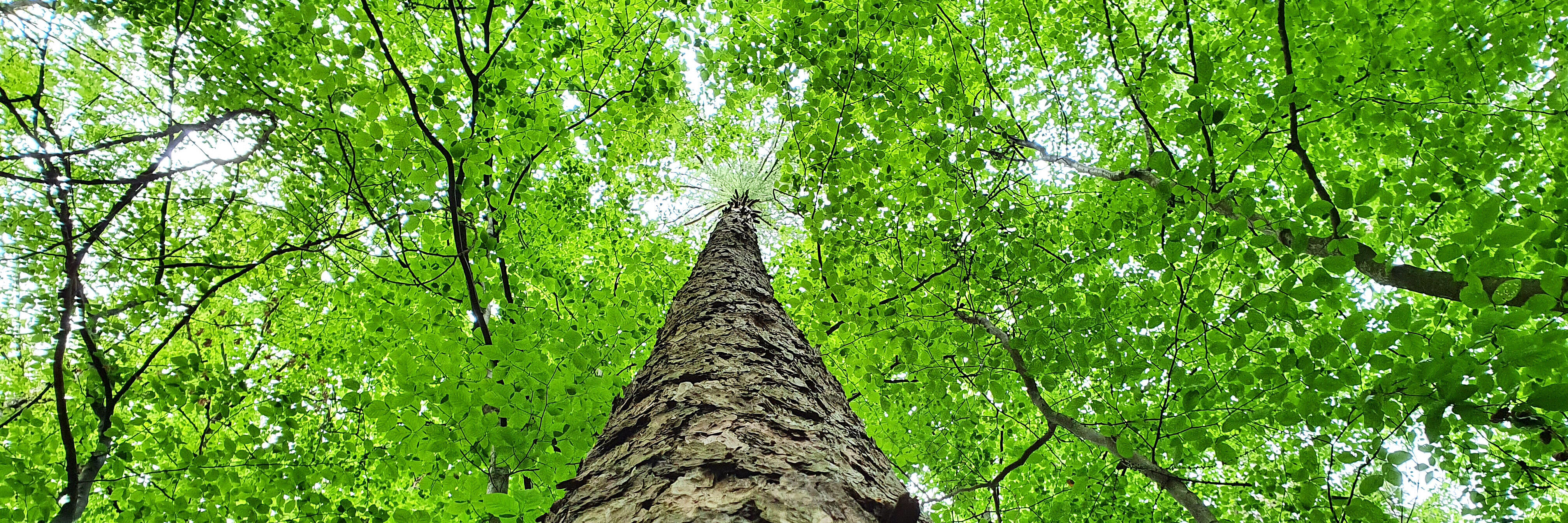 Natur mit anderen Augen betrachten