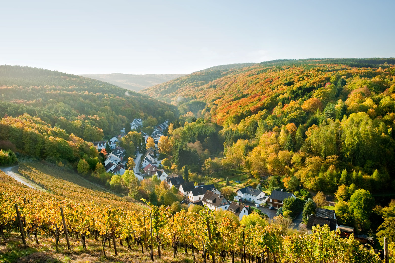 Ausblick auf Bachem vom Karlskopf aus