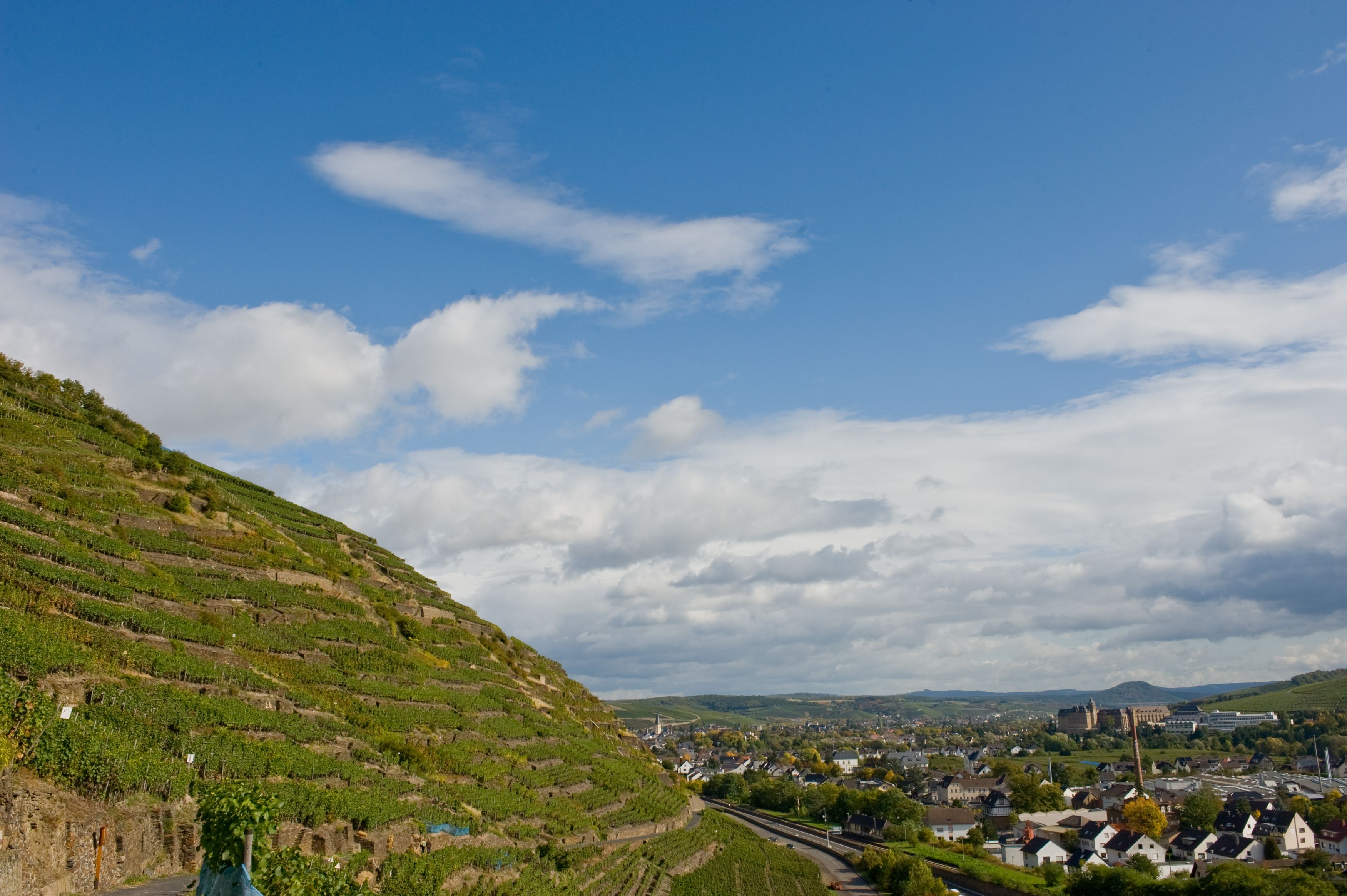 Walporzheims Weinberge