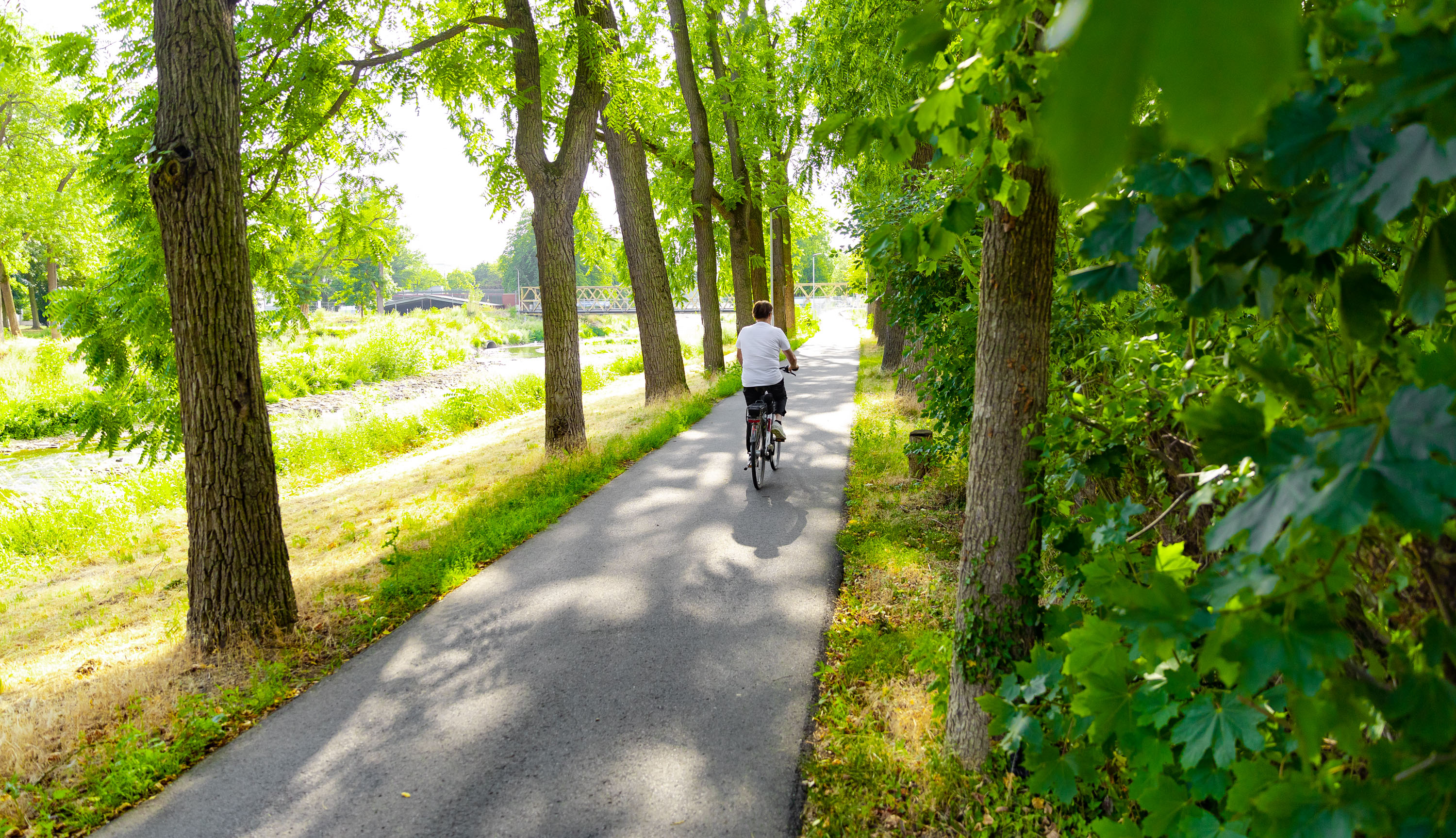 Ahr-Radweg in Bad Neuenahr