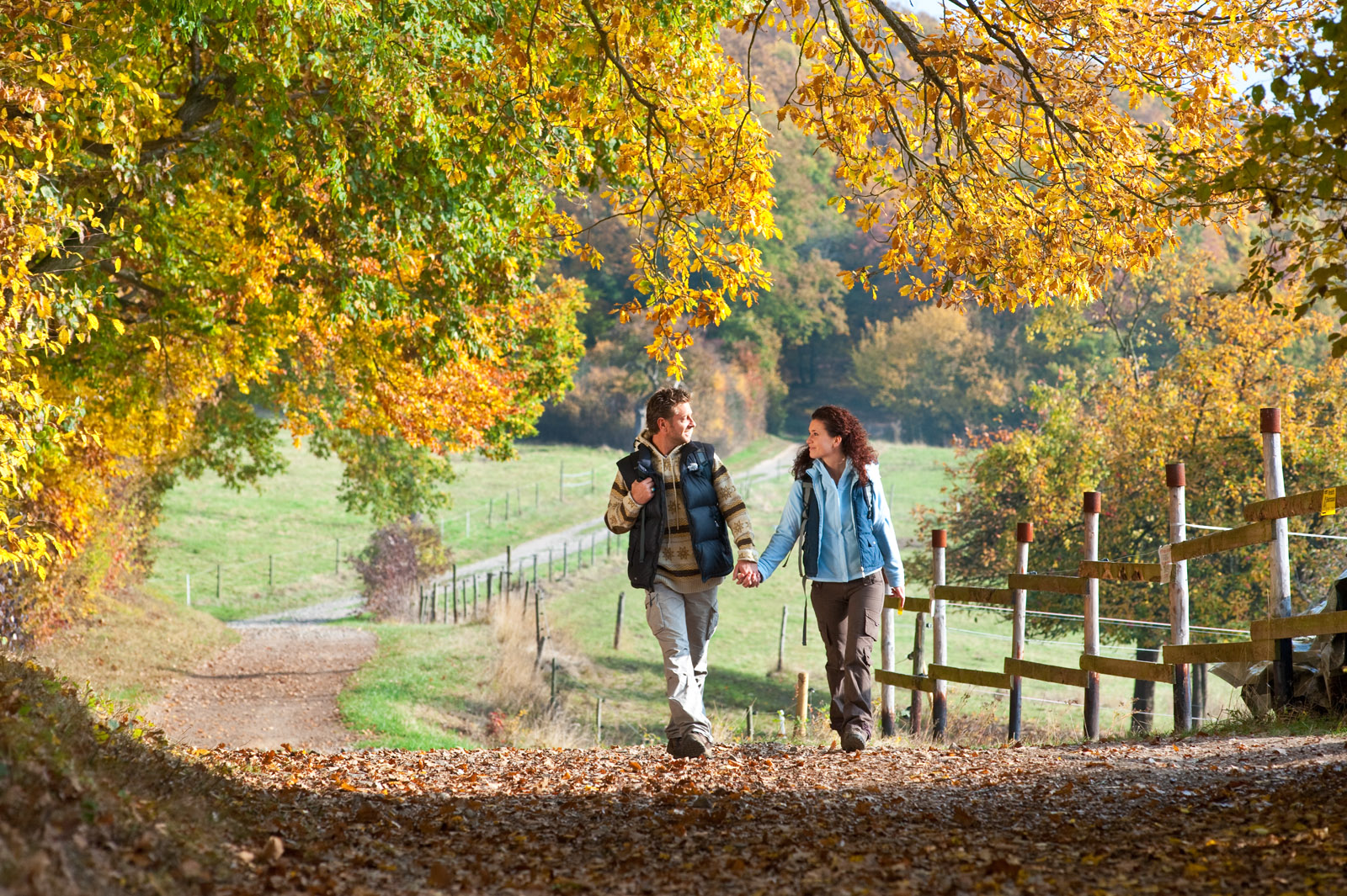 Auf ruhigen Pfaden am Mühlenberg bei Sinzig