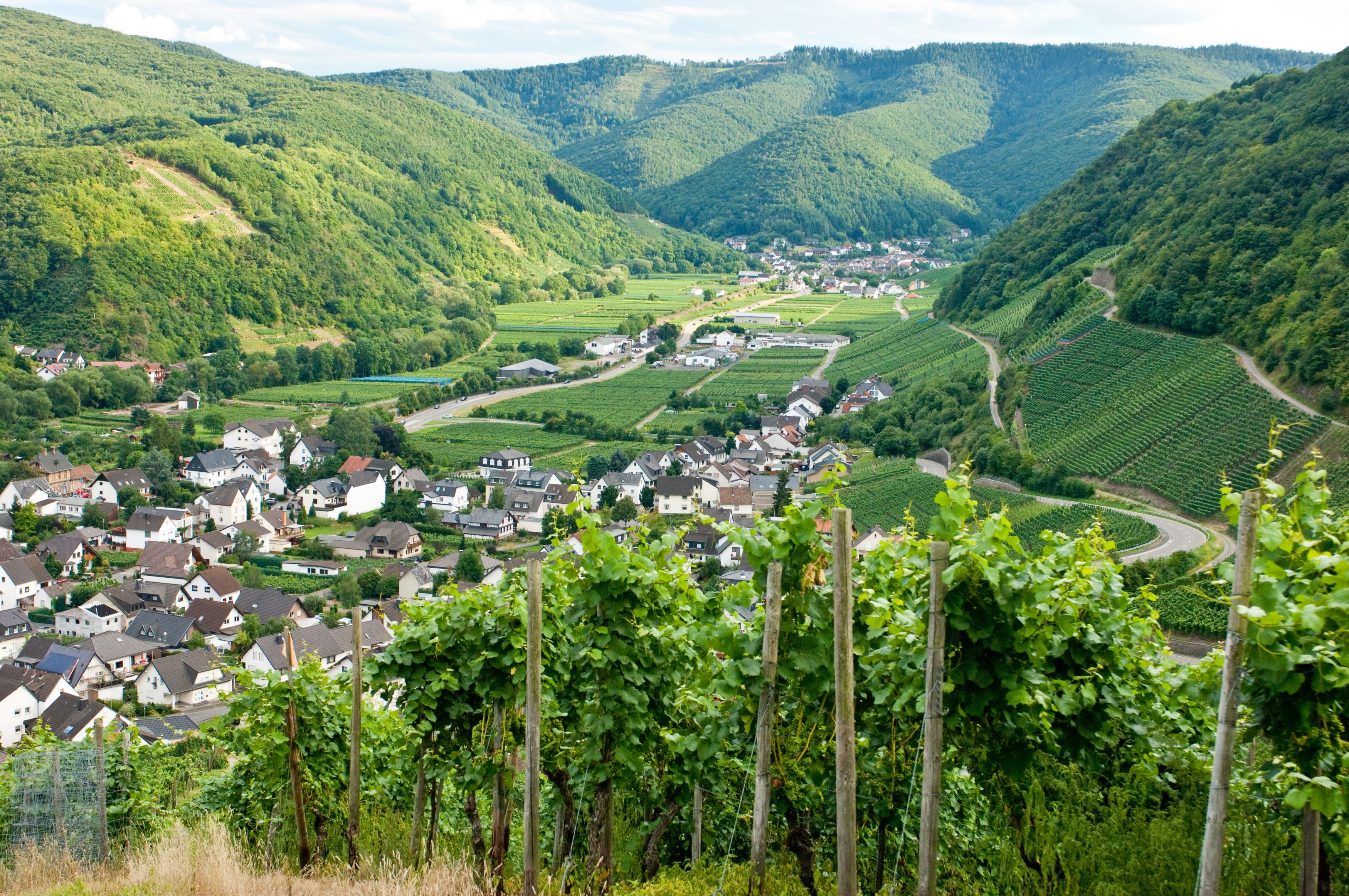 Blick auf den Weinort Dernau Blick auf den Weinort Dernau