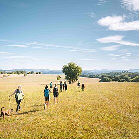 Traumhafte Weitsichten auf dem Waldretter-Trail