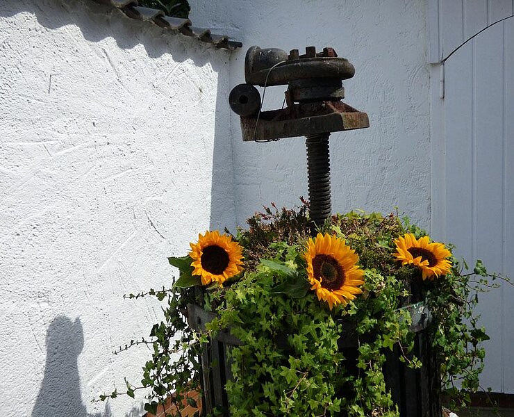 relaxen_in_der_eifel_ferienwohnung_rech_buchen__3_