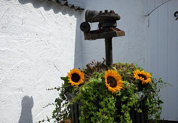 relaxen_in_der_eifel_ferienwohnung_rech_buchen__3_