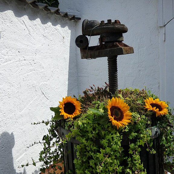 relaxen_in_der_eifel_ferienwohnung_rech_buchen__3_
