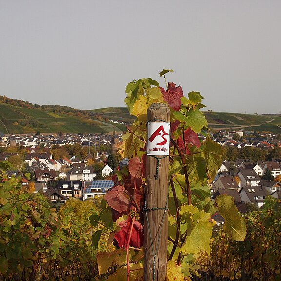 Weinberge bei Ahrweiler