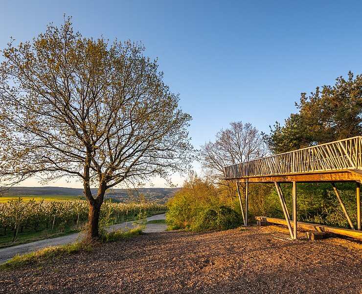 Aussichtsplattform "Fliegendes Dach"