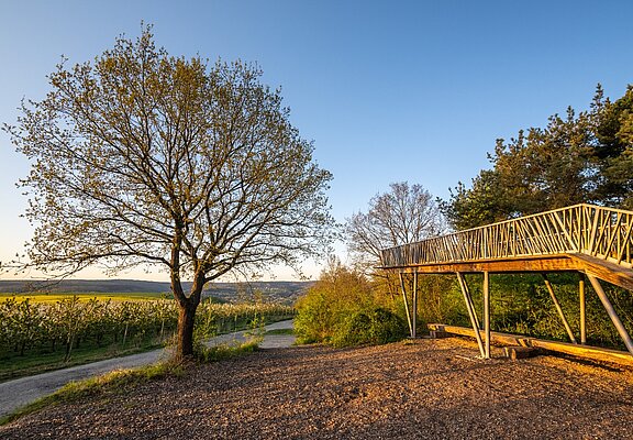 Aussichtsplattform "Fliegendes Dach"