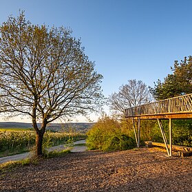 Aussichtsplattform "Fliegendes Dach"
