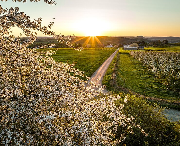 am Birnensortengarten entlang