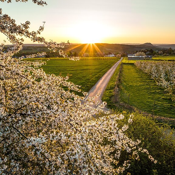 am Birnensortengarten entlang