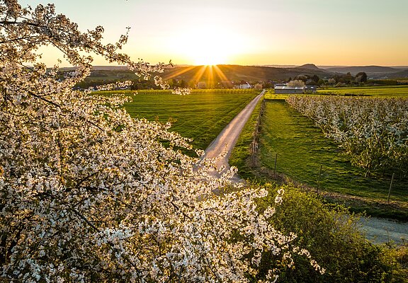 am Birnensortengarten entlang