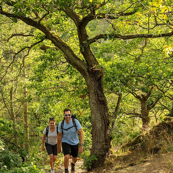 Aufstieg zum Teufelsloch