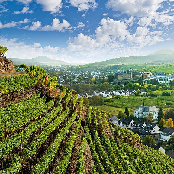 Calvarienberg, Kloster, Ahrtal, Ahrweiler