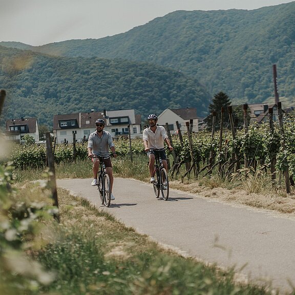 15.06.2021 (41 von 62)