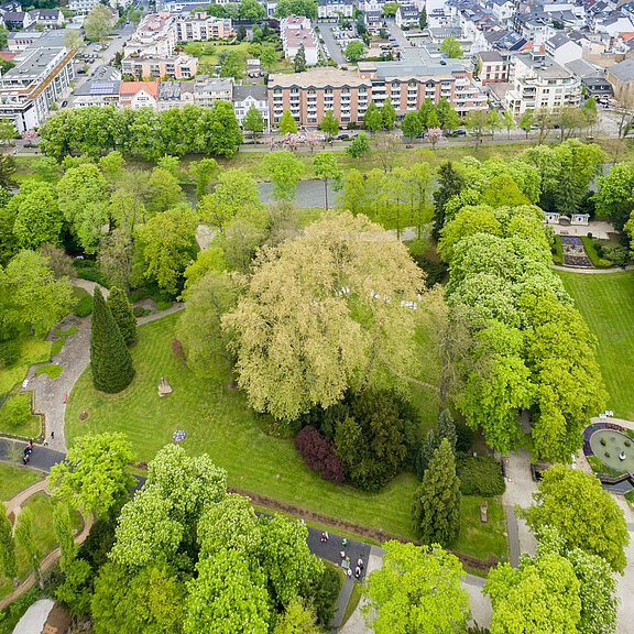 Kurpark, Bad Neuenahr, Ahrtal
