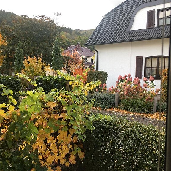 Ausblick Schlafzimmer (Domlay)