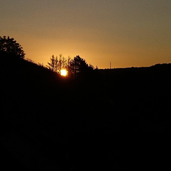 SonnnenuntergangKoppen