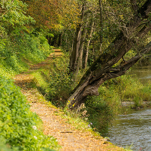 Prümer Tor, Ahrtal, Naturdenkmal