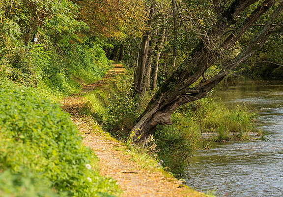 Prümer Tor, Ahrtal, Naturdenkmal