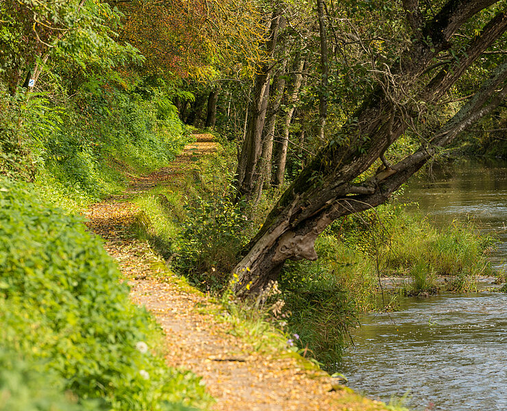 Prümer Tor, Ahrtal, Naturdenkmal