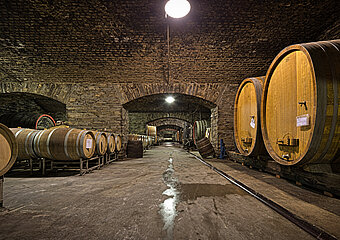 Winzergenossenschaft, Mayschoß, Altenahr, Ahrtal