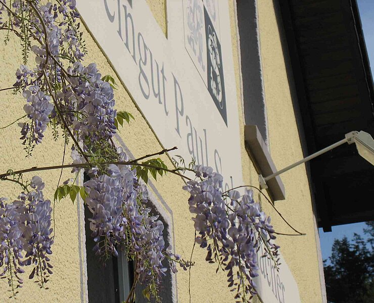 Straußwirtschaft Weingut Paul Schumacher