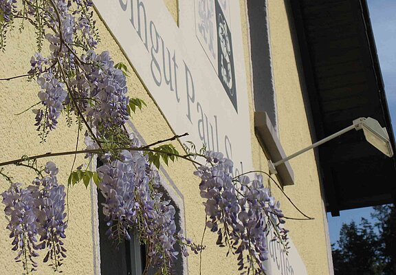 Straußwirtschaft Weingut Paul Schumacher