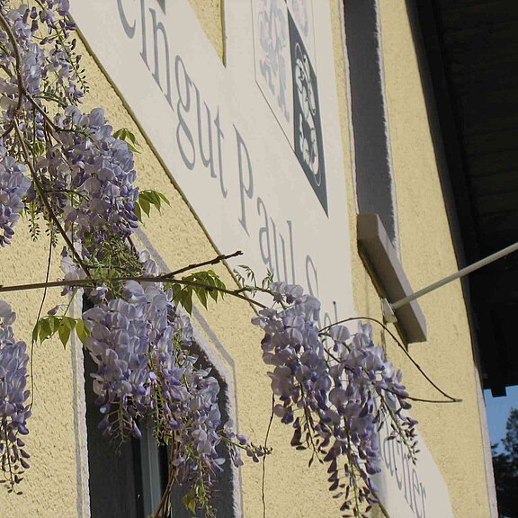 Straußwirtschaft Weingut Paul Schumacher