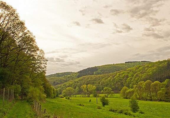 Sahrbachtal