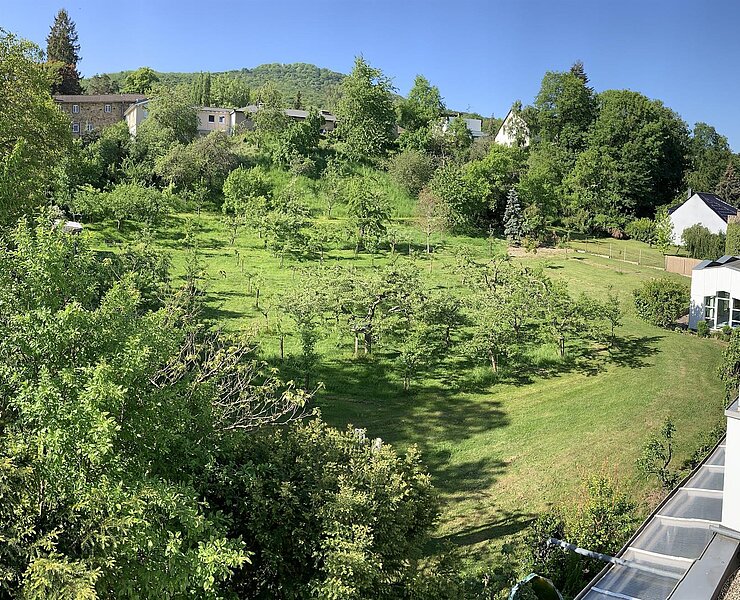 Gartenpanorama