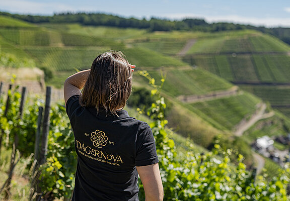 Ahrtal, Bad Neuenahr-Ahrweiler, Dagernova, Weinmanufaktur