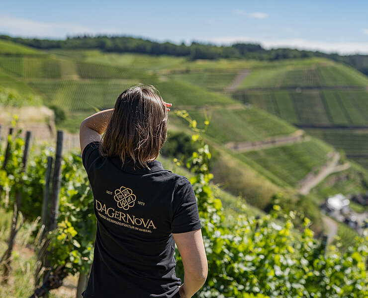 Ahrtal, Bad Neuenahr-Ahrweiler, Dagernova, Weinmanufaktur