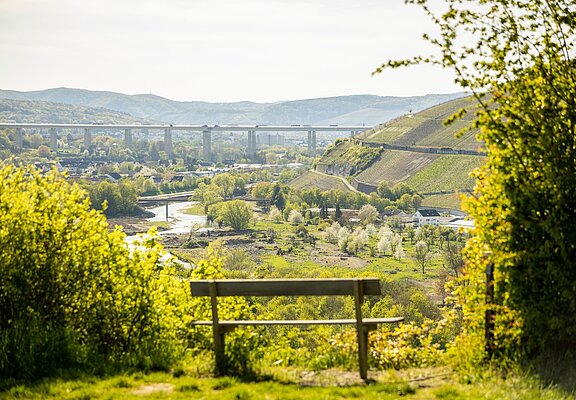 Aussicht von der Ehlinger Ley