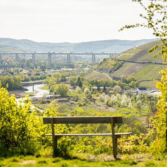 Aussicht von der Ehlinger Ley