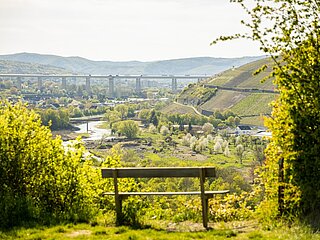 Aussicht von der Ehlinger Ley
