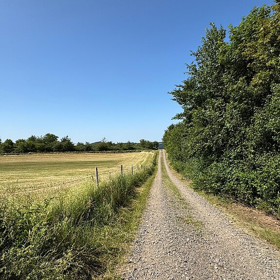 Schotterpfad am Panoramaweg Lind