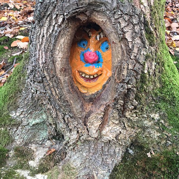 Waldgeisterweg Altenahr