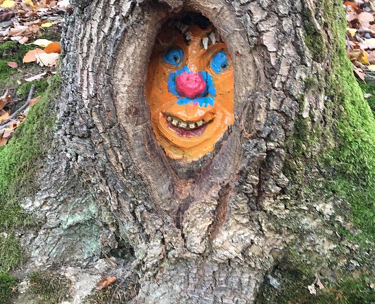 Waldgeisterweg Altenahr