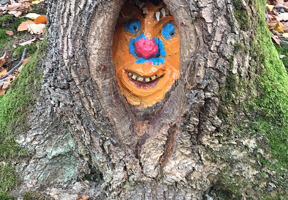 Waldgeisterweg Altenahr