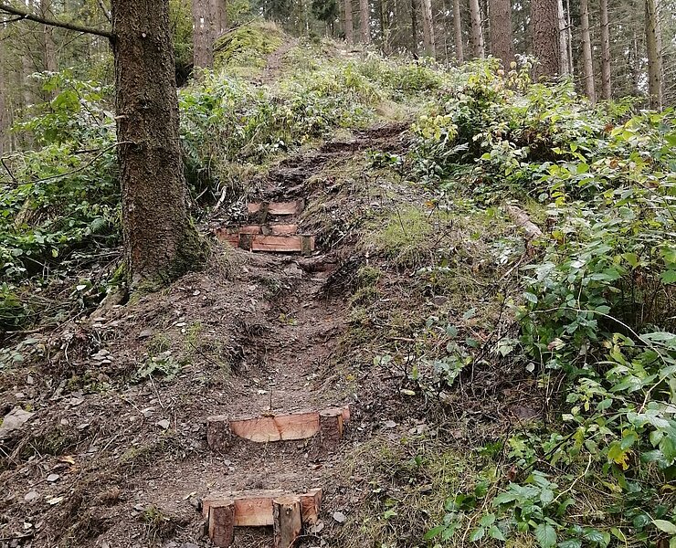 Steilpfad ins Wirftbachtal mit naturnahen Trittstufen