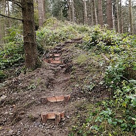 Steilpfad ins Wirftbachtal mit naturnahen Trittstufen