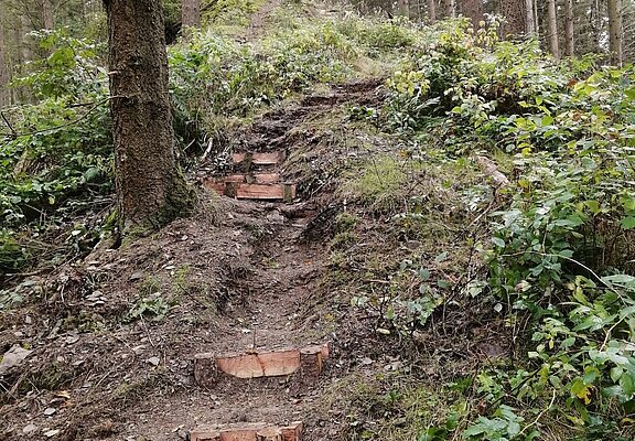 Steilpfad ins Wirftbachtal mit naturnahen Trittstufen