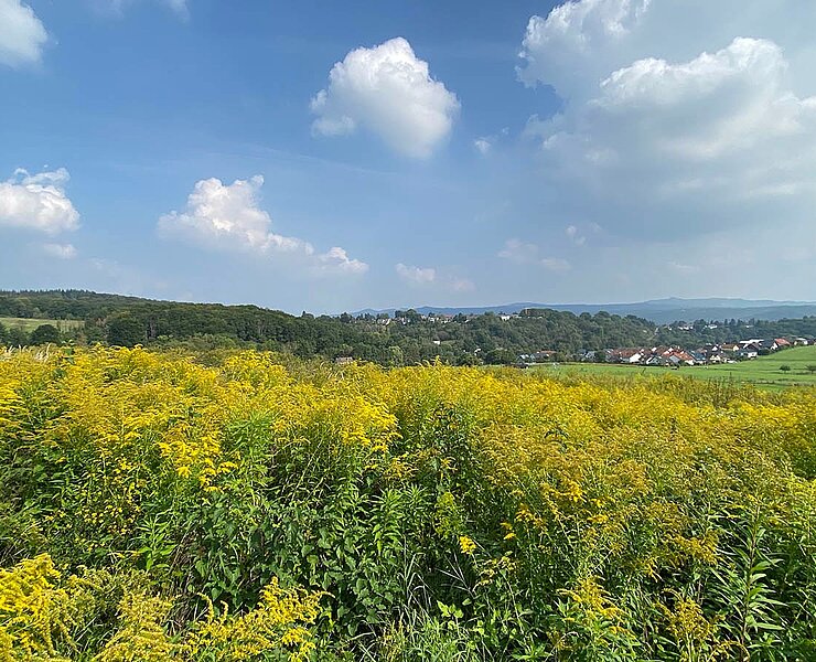 Rheinhöhe Oberwinter und Siebengebirge