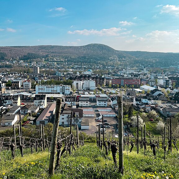 Aussicht auf Bad Neuenahr