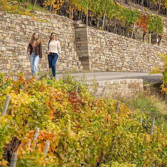 Wandern durch die Weinberge